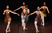 13ª Mostra Brasileira de Dança
