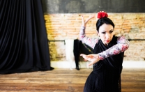 Oficinas de dança flamenca