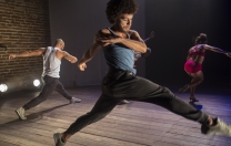14ª Mostra Brasileira de Dança 14ª Mostra Brasileira de Dança