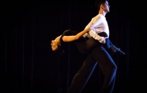 15º Festival Estudantil de Teatro e Dança 15º Festival Estudantil de Teatro e Dança
