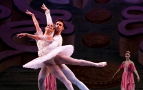 Ballet Gonzalez apresenta O Quebra Nozes com participação de bailarinos internacionais Ballet Gonzalez apresenta O Quebra Nozes com participação de bailarinos internacionais