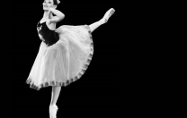 Pernambucanos selecionados para o Festival de Dança de Joinville